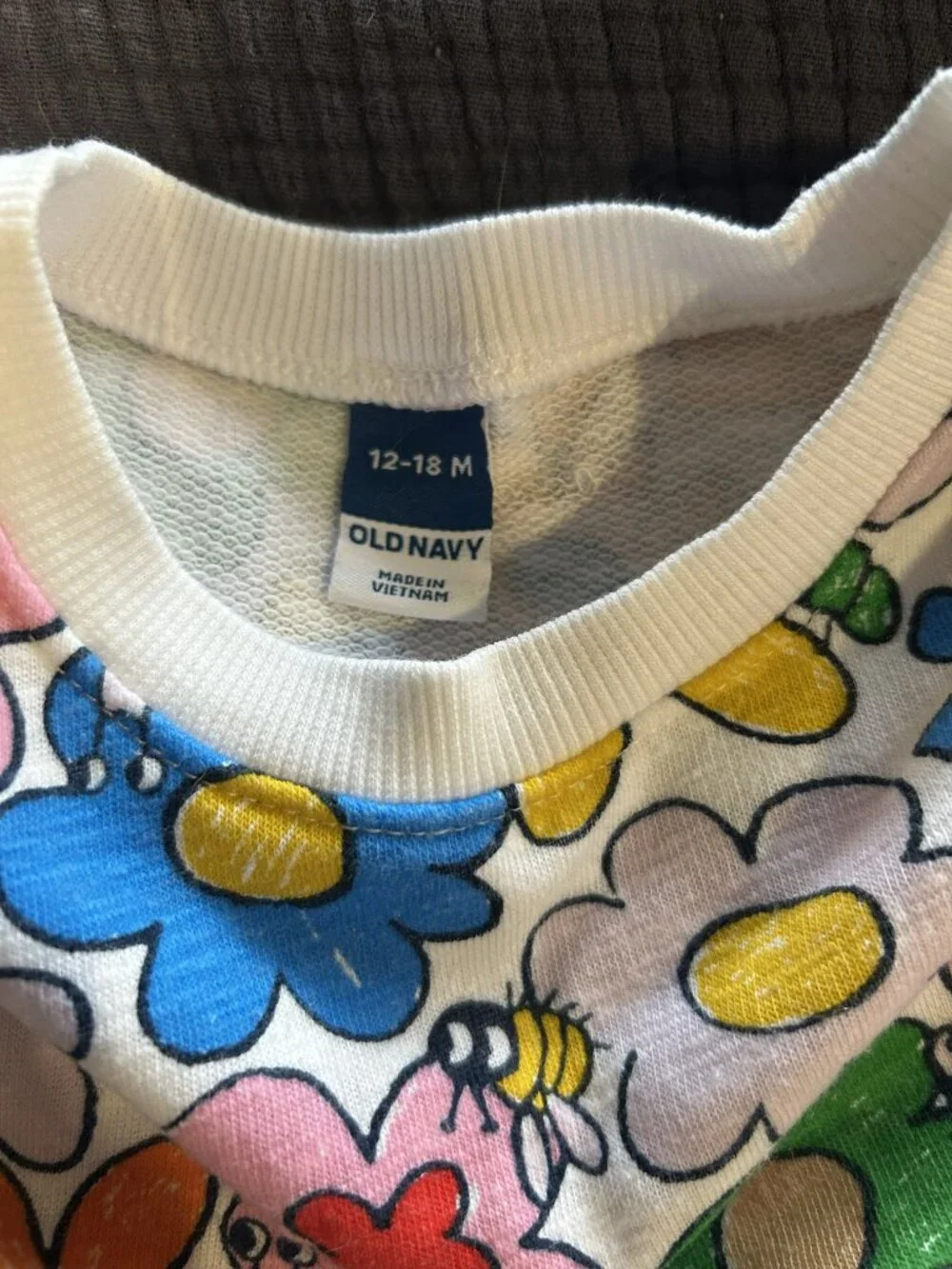 Old Navy Floral Bug Matching Set 12-18 Months Sweatshirt Joggers EUC